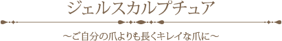 ジェルスカルプチュア